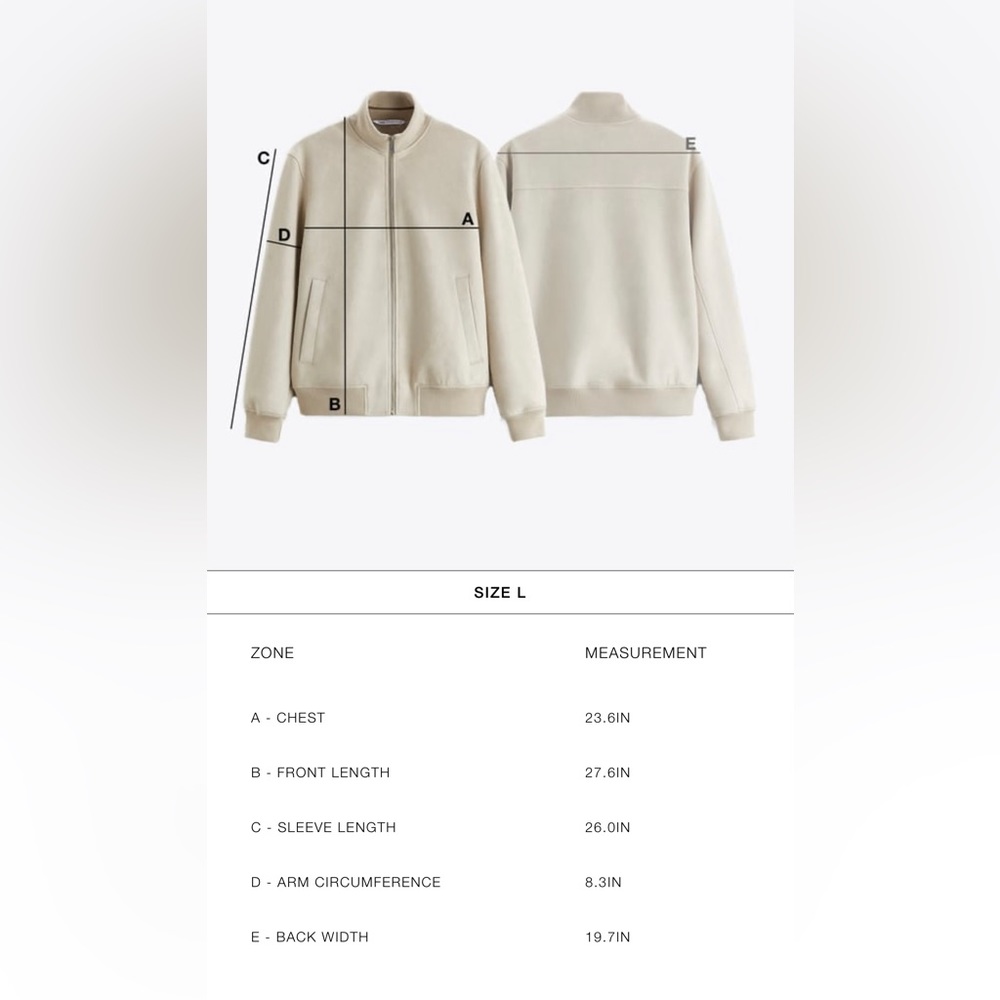 ZARA X RHUIGI LEATHER BOMBER JACKET - Picture 8 of 8